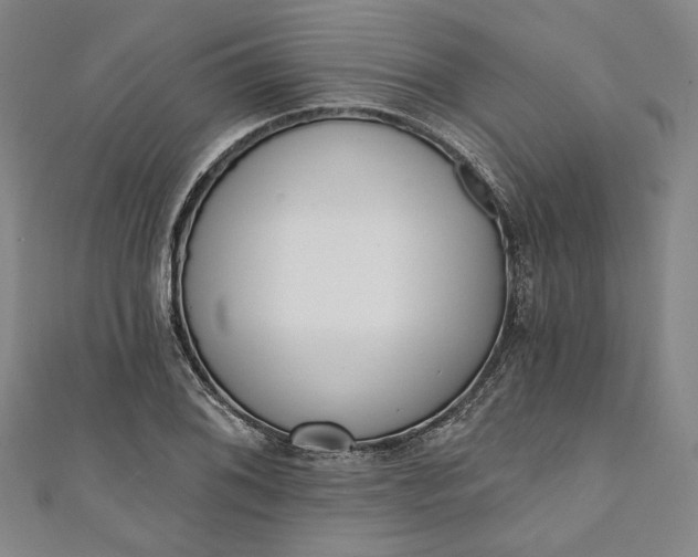 X0000111461076200907271246