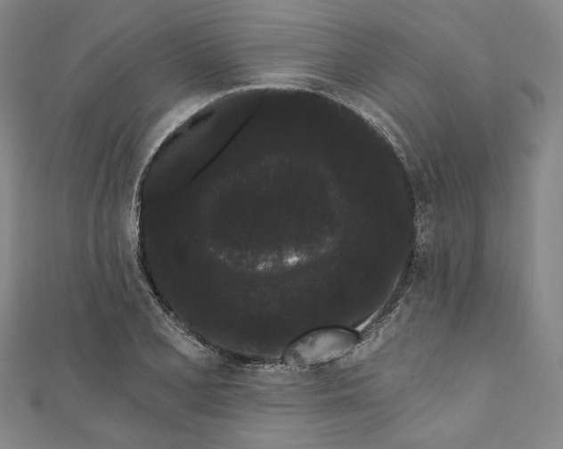 X0000111461077200907271246