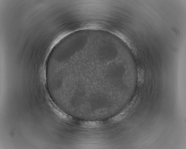 X0000111461078200907271246