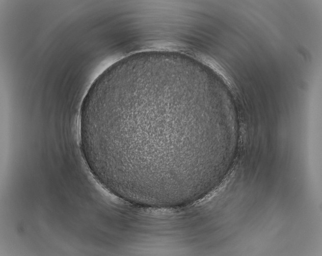 X0000111461079200907271246