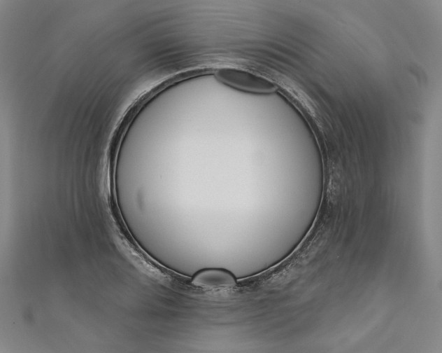 X0000111461080200907271246