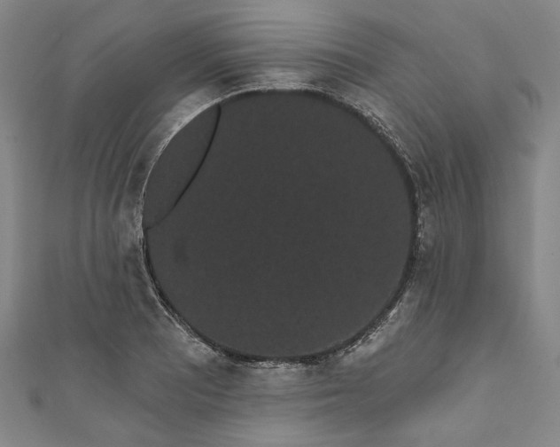 X0000111461081200907271246