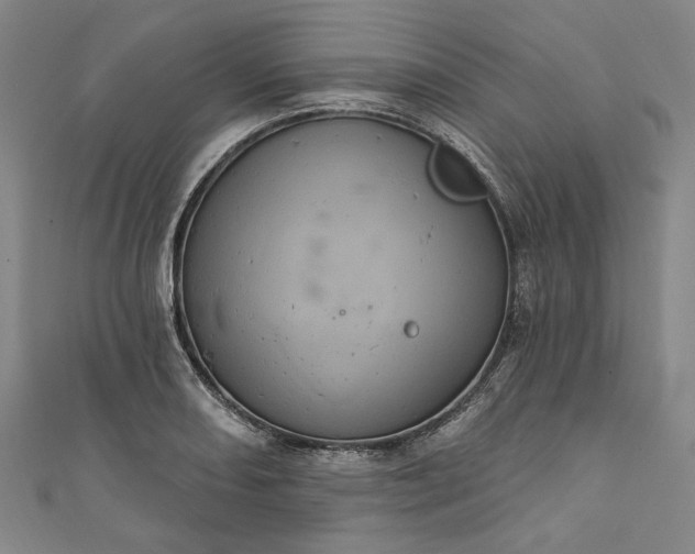 X0000111461082200907271246