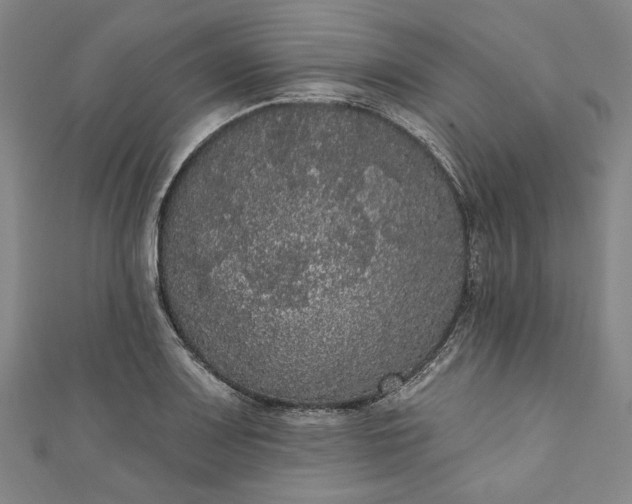 X0000111461083200907271246