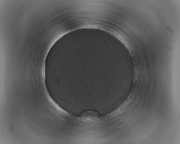 X0000111461084200907271246