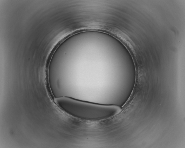 X0000111461085200907271246