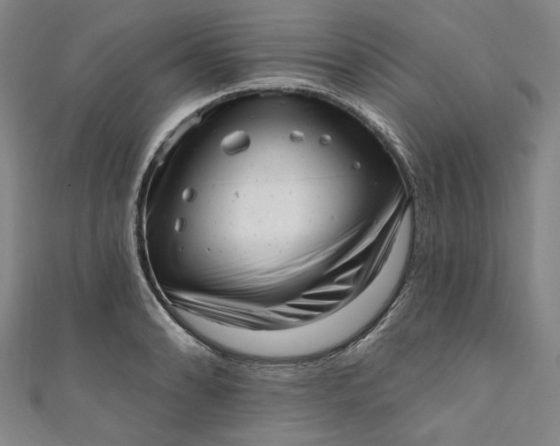 X0000111461086200907271246