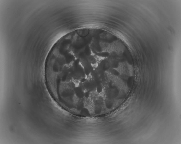 X0000111461087200907271246