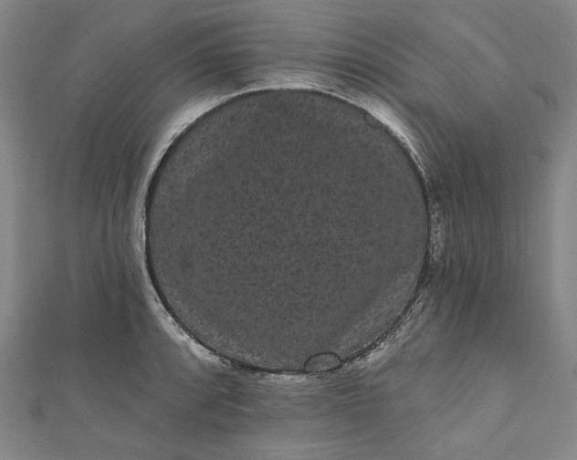 X0000111461088200907271246