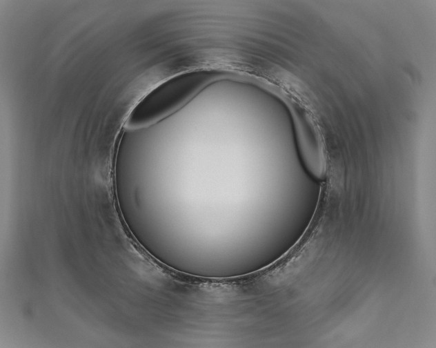 X0000111461089200907271246