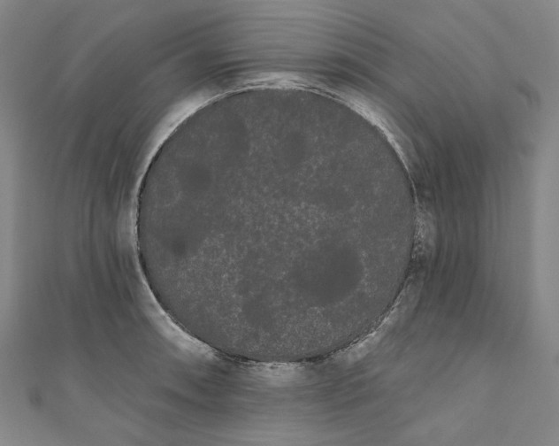 X0000111461090200907271246