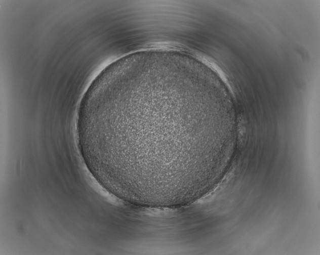 X0000111461091200907271246