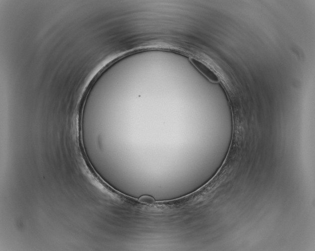 X0000111461092200907271246