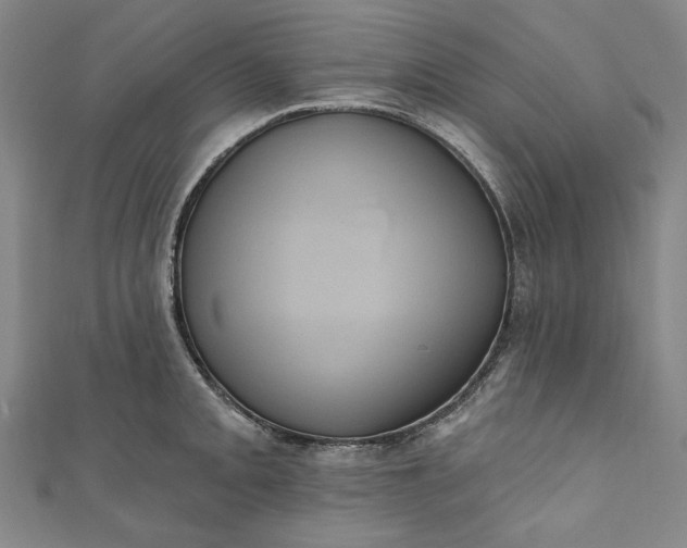 X0000111461093200907271246