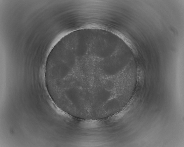 X0000111461094200907271246