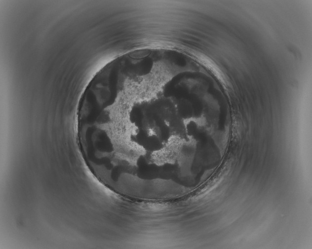 X0000111461095200907271246