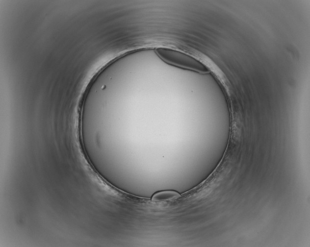 X0000111461096200907271246