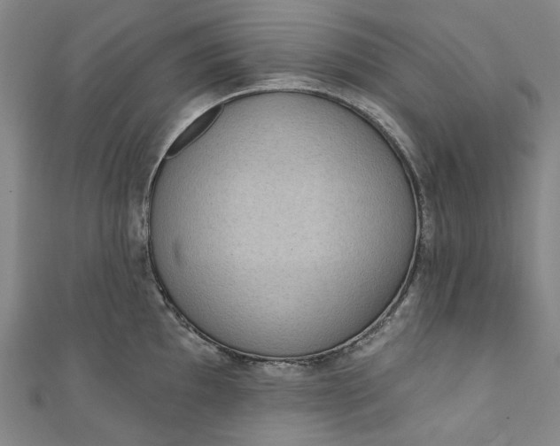 X0000111461097200907271246