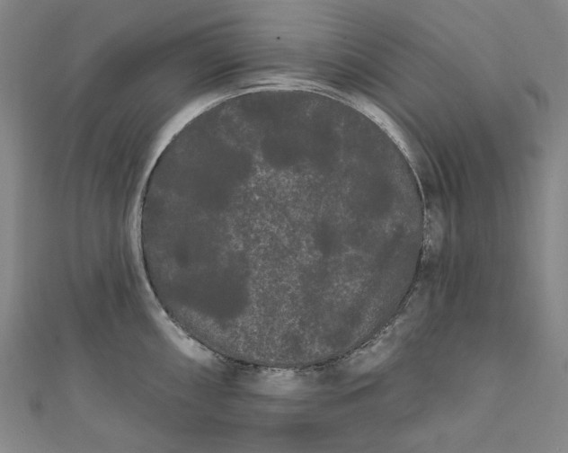 X0000111461098200907271246