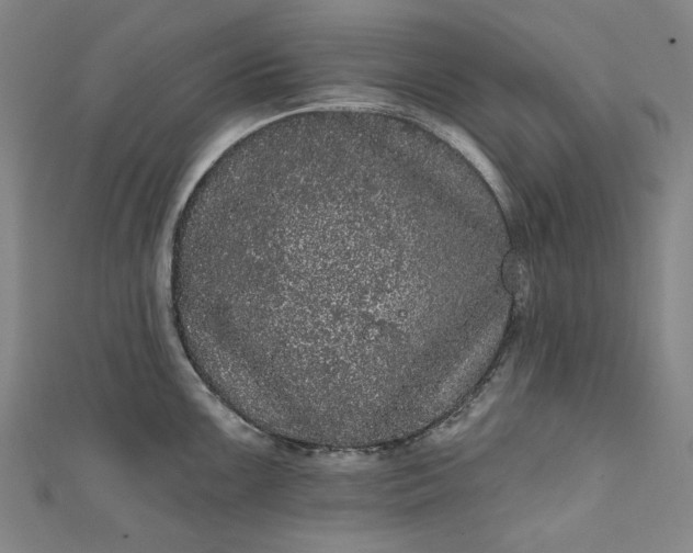 X0000111461099200907271246