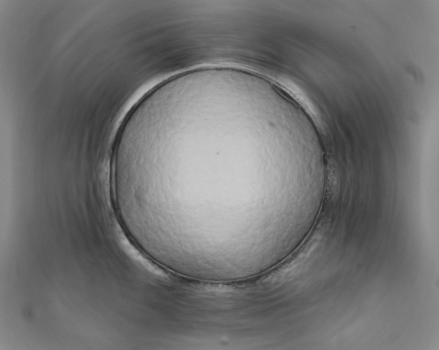 X0000111461100200907271246