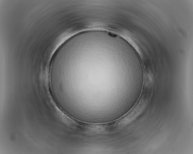 X0000111461101200907271246