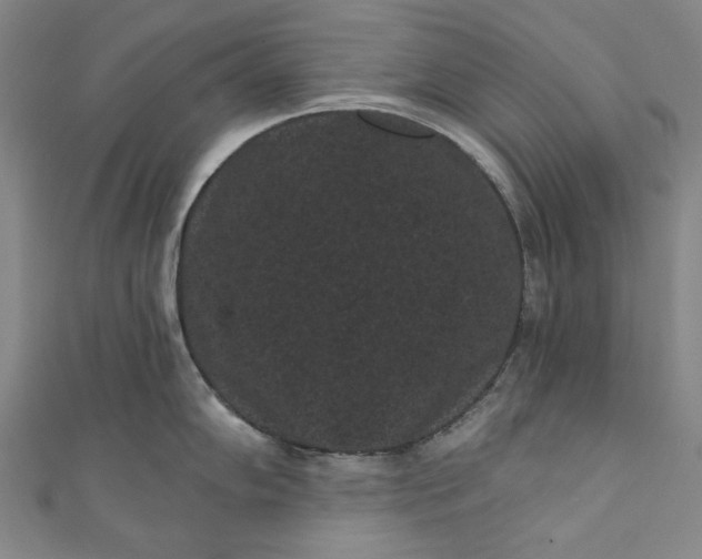 X0000111461102200907271246