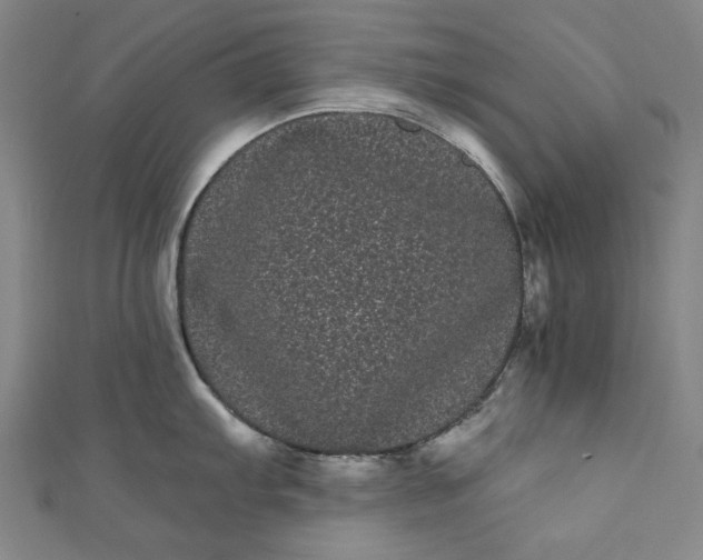 X0000111461103200907271246