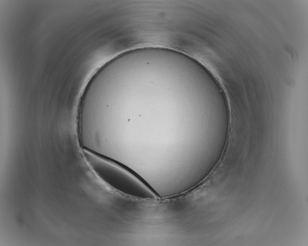 X0000111461104200907271246