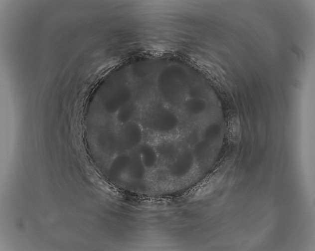 X0000111461105200907271245