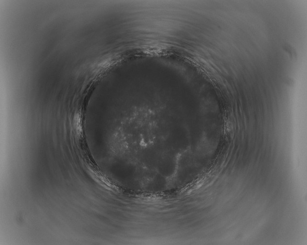 X0000111461106200907271245