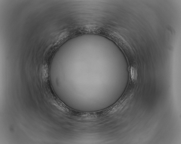 X0000111461107200907271245