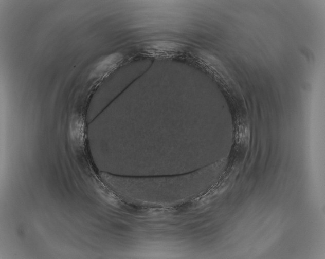 X0000111461108200907271245