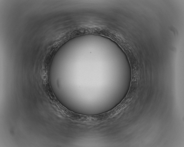 X0000111461109200907271246