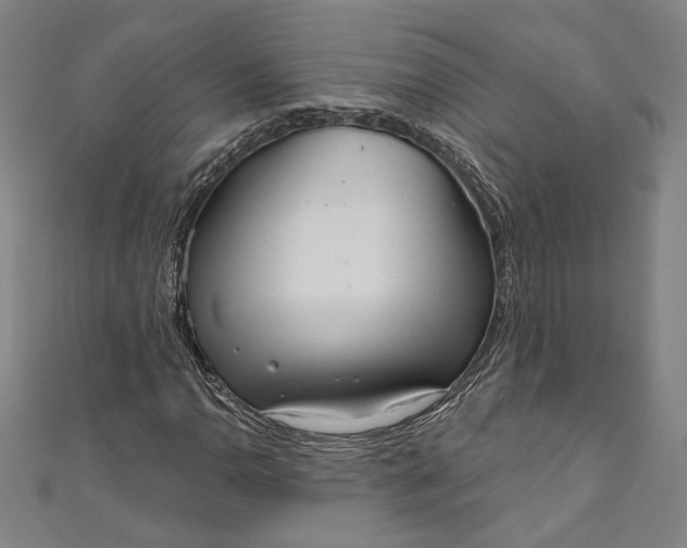 X0000111461110200907271246