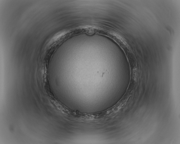 X0000111461111200907271246