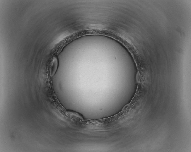 X0000111461112200907271246