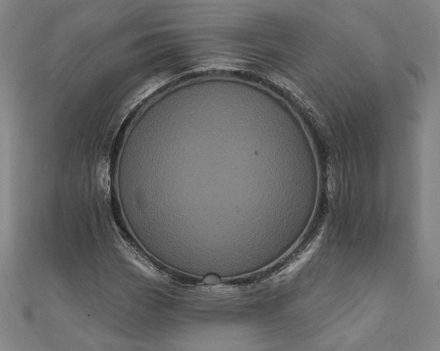 X0000111461113200907271246