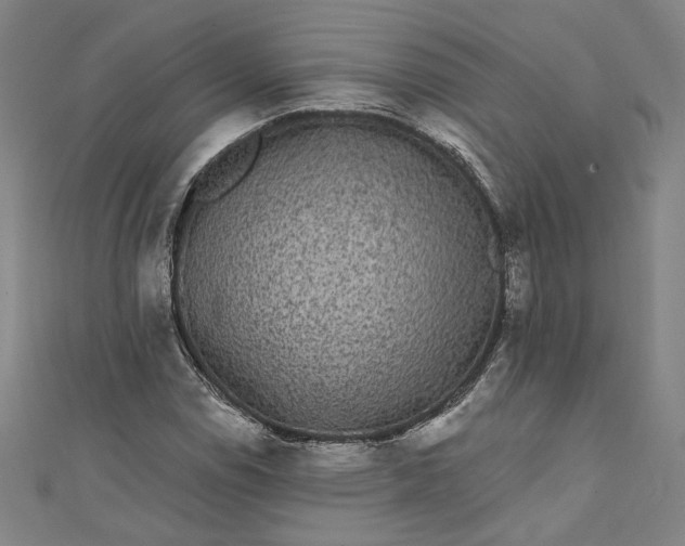 X0000111461114200907271246