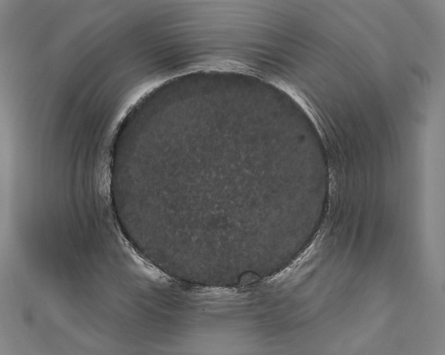 X0000111461115200907271246