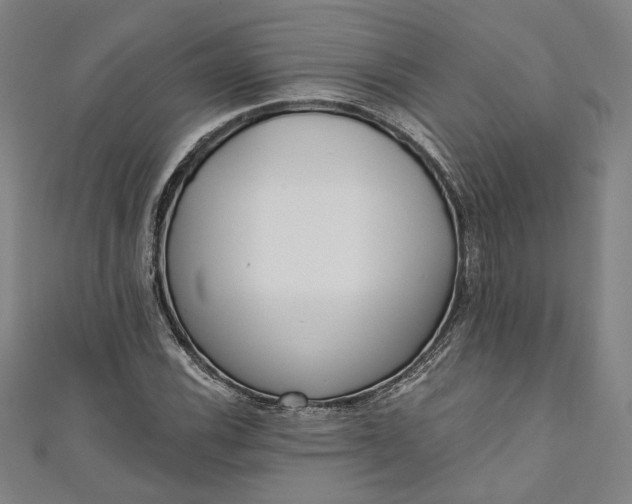 X0000111461116200907271246