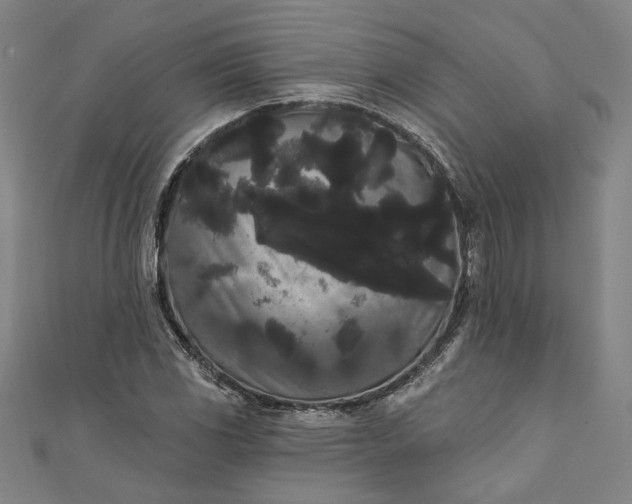 X0000111461117200907271246