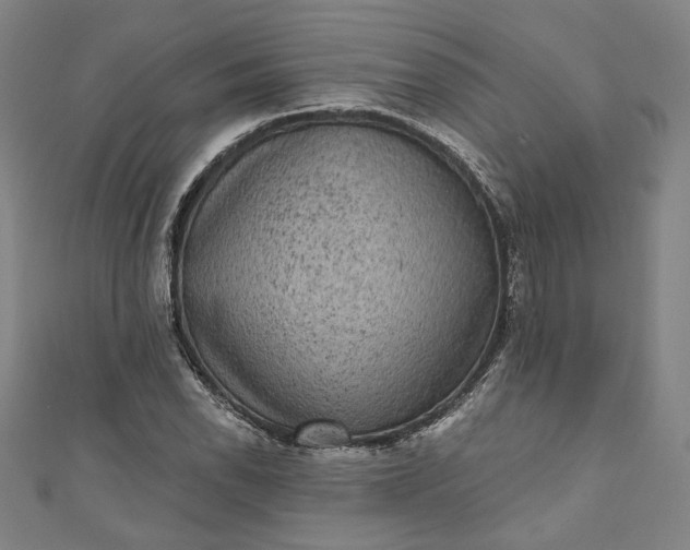 X0000111461118200907271246