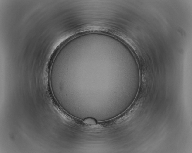 X0000111461119200907271246