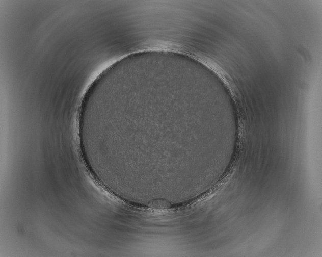 X0000111461120200907271246