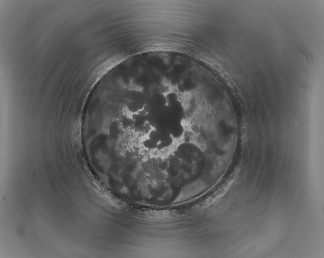 X0000111461121200907271246