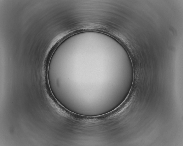 X0000111461122200907271246