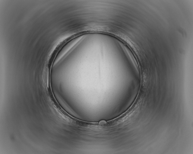 X0000111461123200907271246