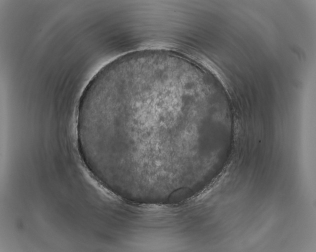 X0000111461124200907271246