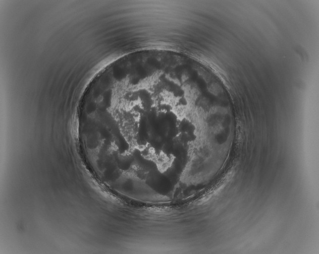 X0000111461125200907271246